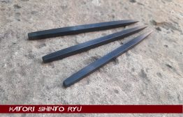 Bo Shuriken Katori Shinto Ryu