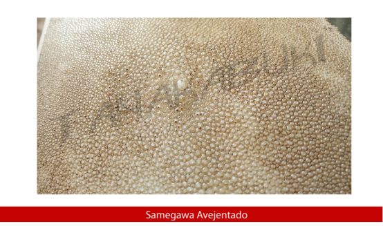 SAMEGAWA - Imagen 11