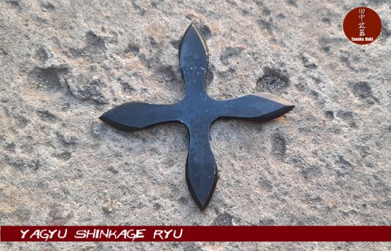 109_Juji Shuriken - Imagen 2
