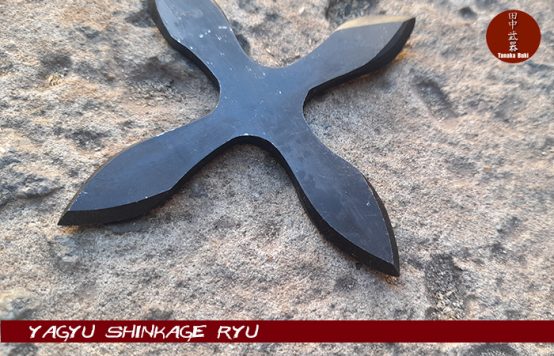 109_Juji Shuriken - Imagen 3
