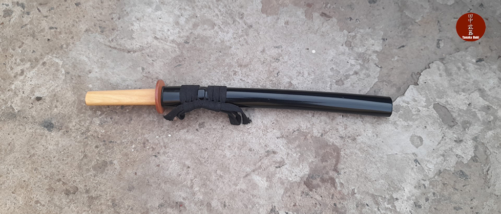 Bokken con Tsuba y Vaina Plastica (Wakizashi) - Imagen 2