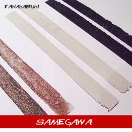 SAMEGAWA