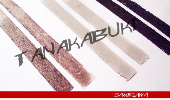 SAMEGAWA - Imagen 2