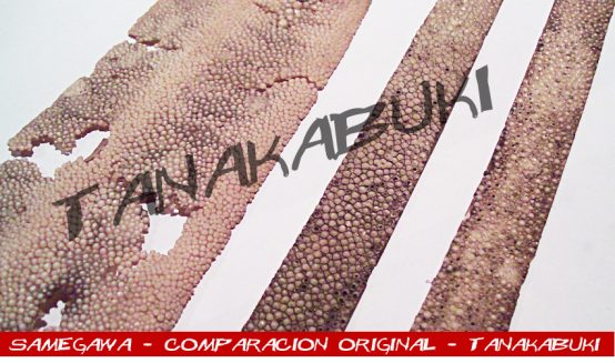 SAMEGAWA - Imagen 6