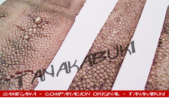 SAMEGAWA - Imagen 7