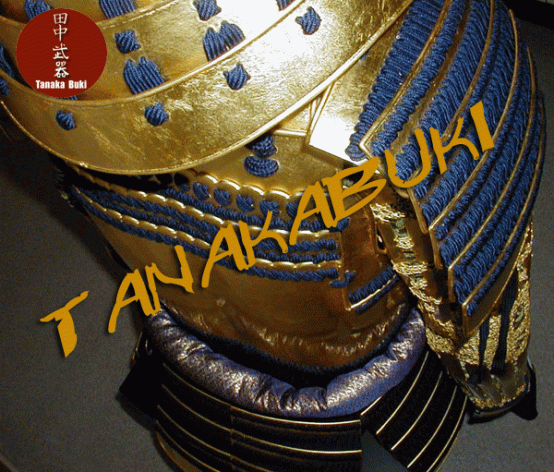 ARMADURA TOKUGAWA IEYASU 徳川家康 - Imagen 2